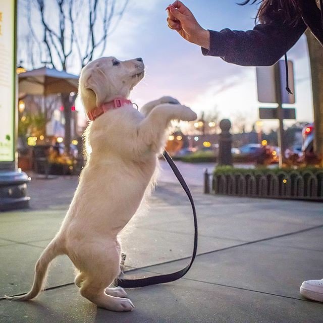 Consistency Creates Comfort (image credits: flickr)