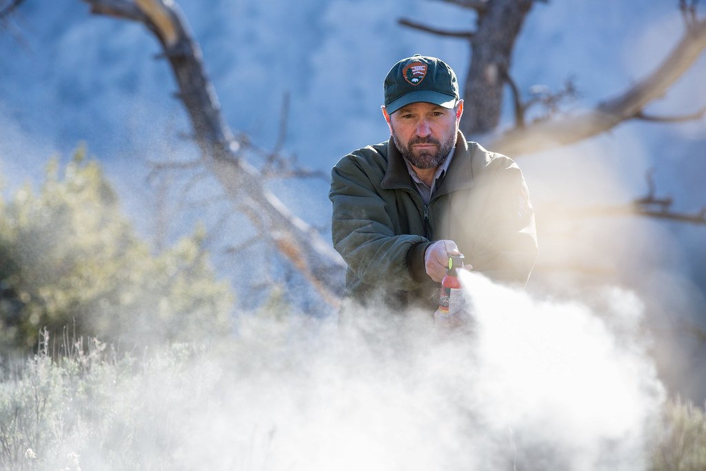 Bear Spray Is Your Best Friend - And It Actually Works (image credits: flickr)