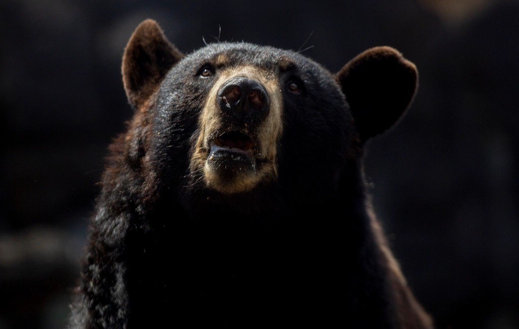 Food Storage Will Make or Break Your Safety (image credits: rawpixel)