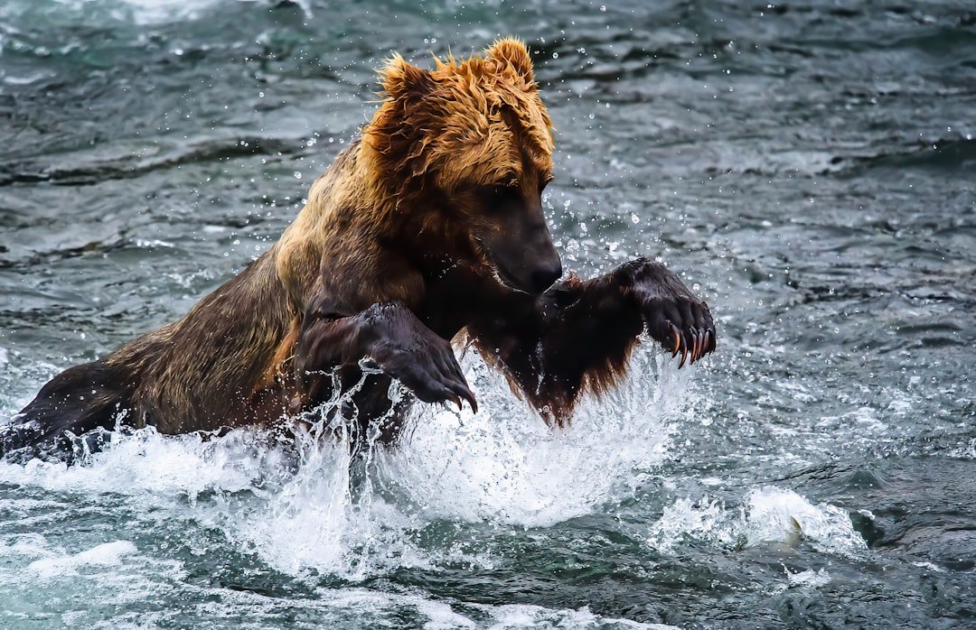 Conclusion (image credits: unsplash)