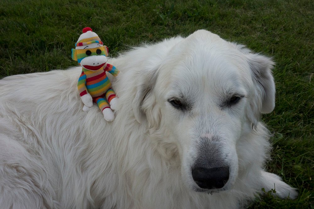 Super Moons and Heightened Sensitivity (image credits: flickr)