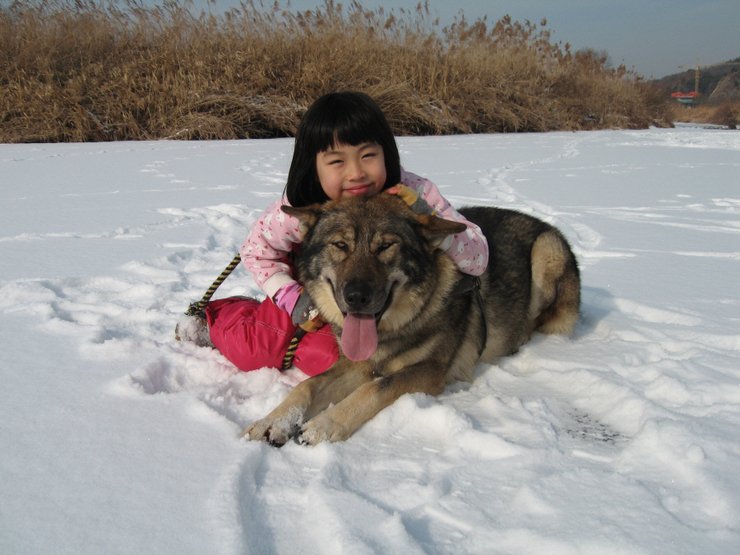 Reading Your Every Emotion (image credits: wikimedia)