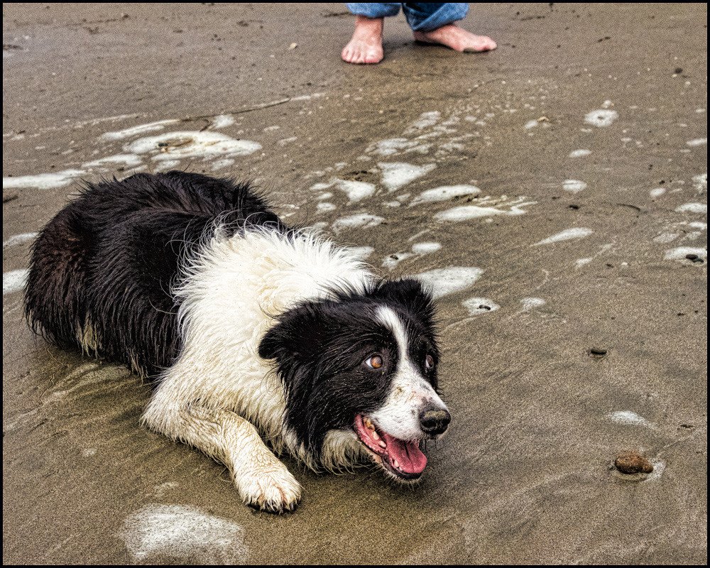 They Change Their Body Language (image credits: flickr)