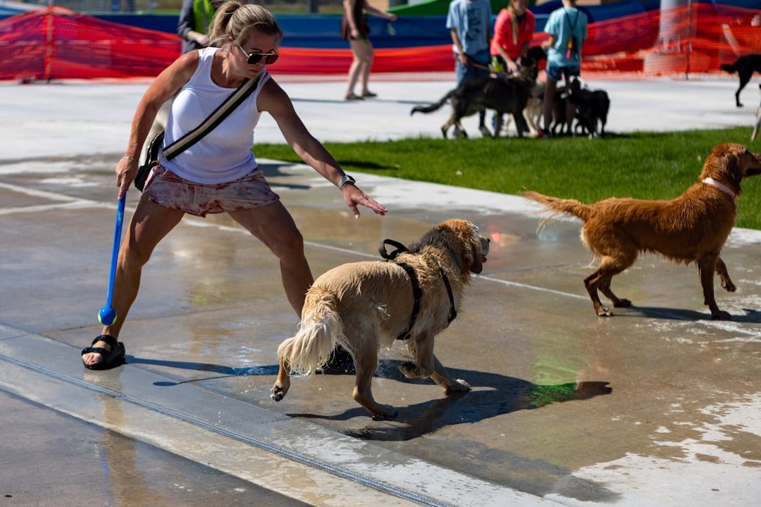 Sagittarius: The Adventure Companions (image credits: unsplash)