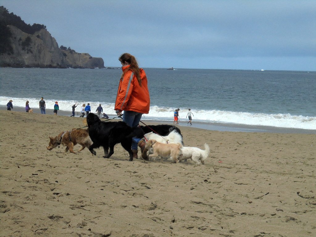 Never Scream, Yell, or Make Frantic Movements (image credits: flickr)