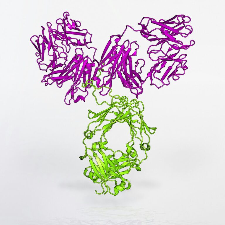 AI-designed proteins test biosecurity safeguards