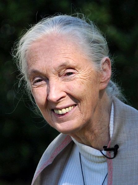 How Jane Goodall changed the way we see animals – and the world