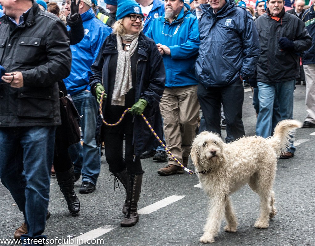 Conclusion (image credits: flickr)