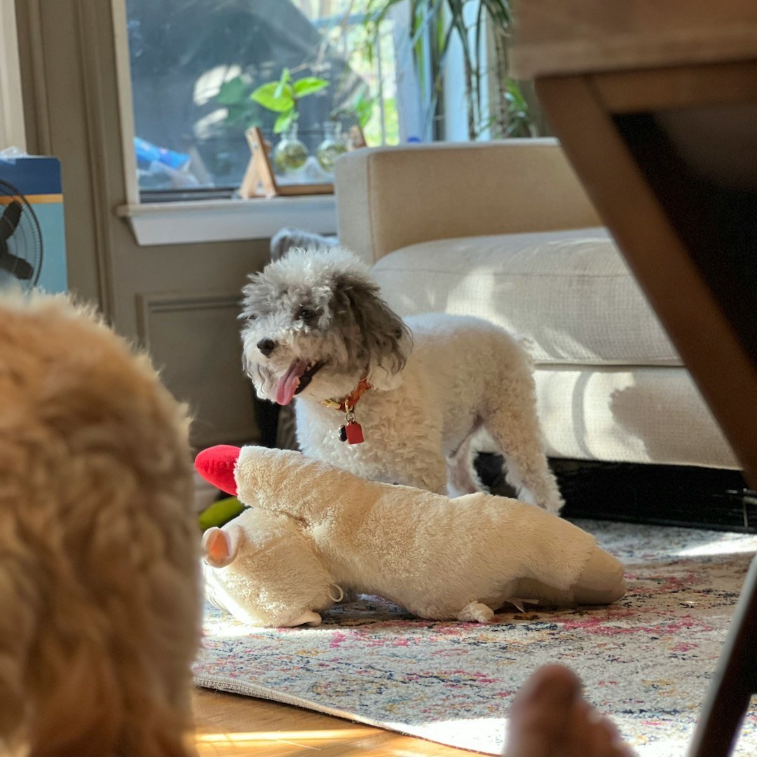 The Power of Mental and Physical Exhaustion (image credits: unsplash)