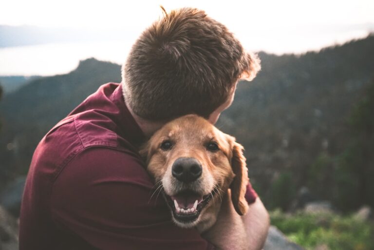 Vets Reveal Why Your Dog Needs You By Its Side When It's Time To Cross The Rainbow Bridge