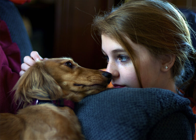 8 Touching Dog Changes That Only Happen When They Finally Feel Safe
