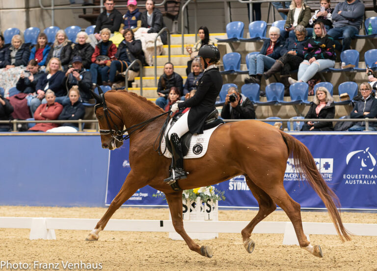 10 Facts About The Most Compatible Horse Breeds For Every Zodiac Sign