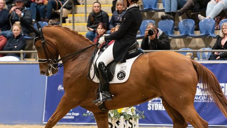 10 Facts About The Most Compatible Horse Breeds For Every Zodiac Sign