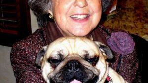 8 Dog Breeds That Fit into a Senior's Lifestyle Comfortably