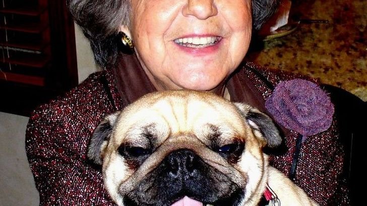 8 Dog Breeds That Fit into a Senior’s Lifestyle Comfortably