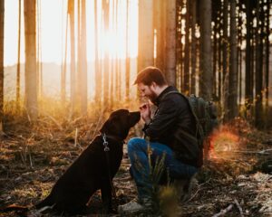 How Labrador Retrievers Sense Emotions Better Than You Think