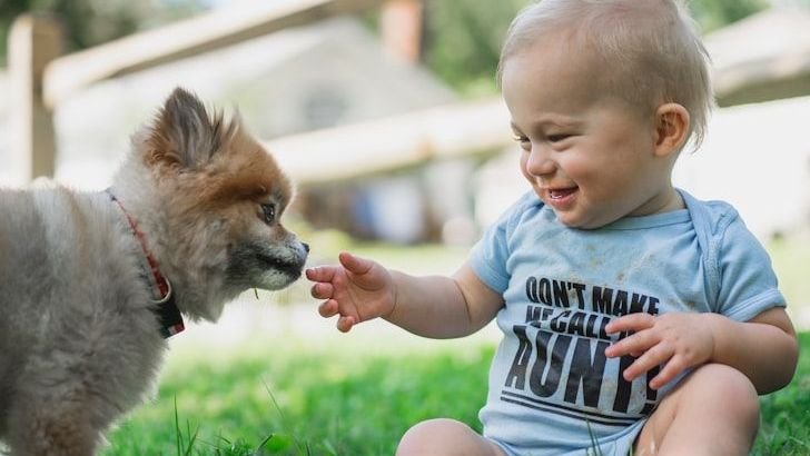 Should I Let My Dog Kiss My Baby?