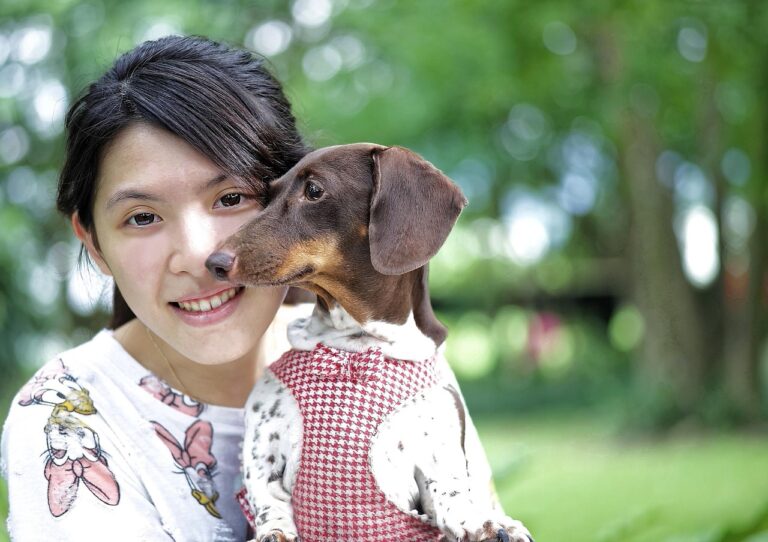 8 Heart-Melting Signs Your Rescue Dog is Finally Home