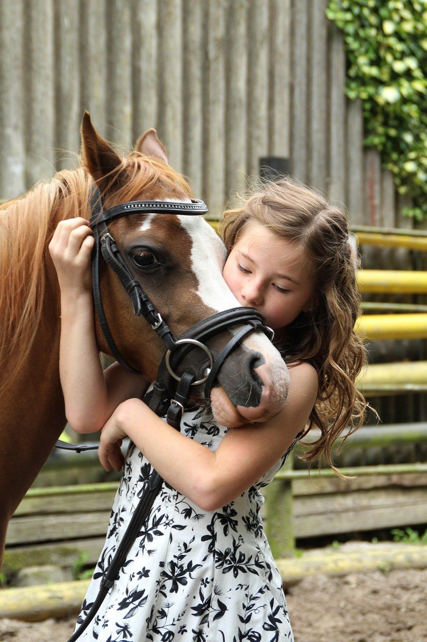 10 Heartwarming Signs Your Horse Trusts You Completely