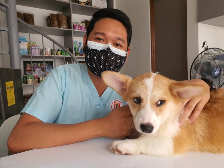 How To Keep Your Dog Calm At The Vet