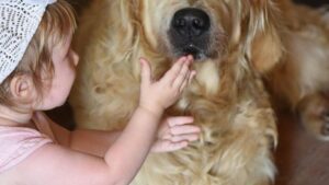 Why Every Dog Remembers the Person Who Was Kind to Them