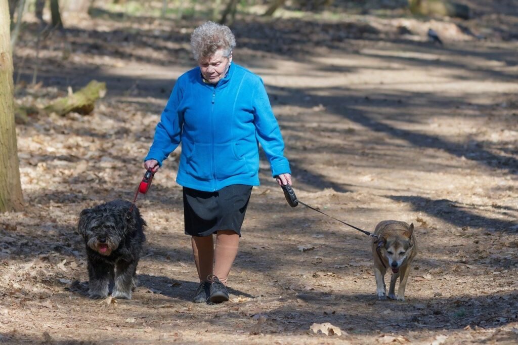 How Dogs Help Seniors Live Longer, Healthier, and Happier Lives