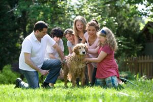 If Your Dog Had a Zodiac Sign, Which One Would It Be?