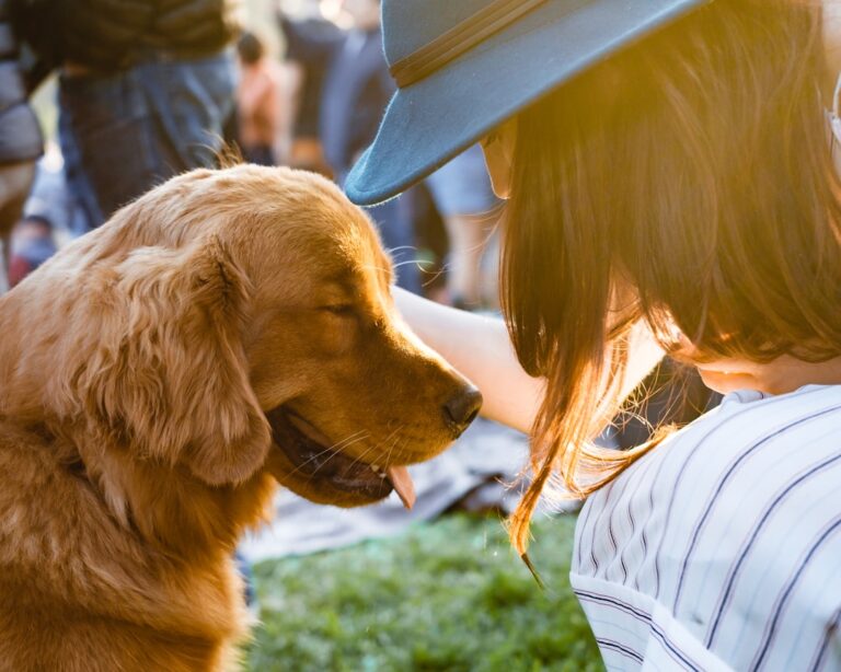 The Best Dog Breed For You Based on Your Birthdate