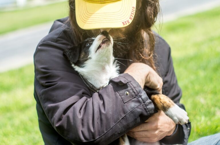Why Texans Prefer Loyal Ranch Dogs Over Apartment Breeds