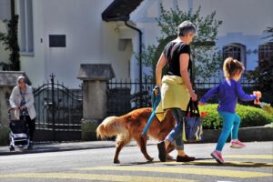 The Emotional Benefits of Adopting a Dog After 60