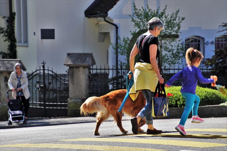 The Emotional Benefits of Adopting a Dog After 60