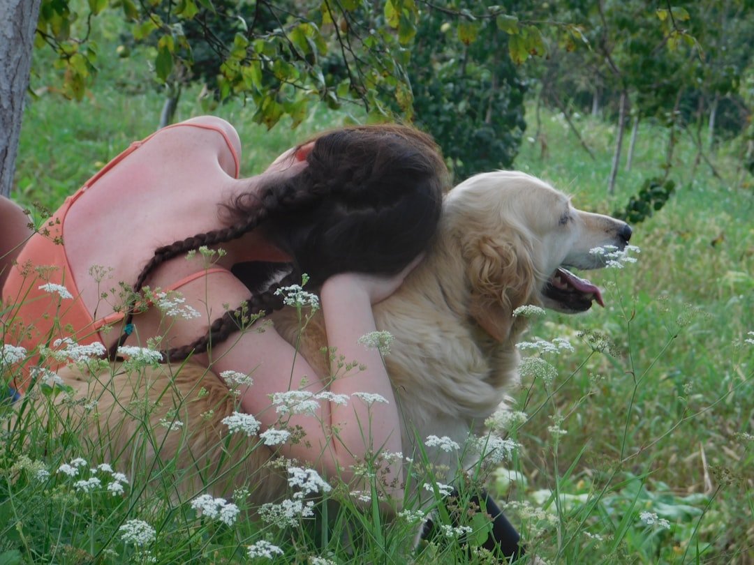 Can Dogs Feel Heartbreak? What Science (and Owners) Say