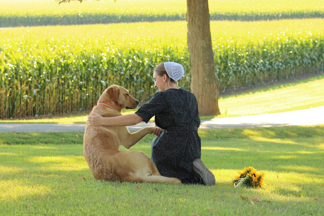 10 Beautiful Lessons About Life Only a Dog Can Teach You
