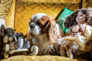 Which Zodiac Signs Make the Most Loyal Dog Owners?