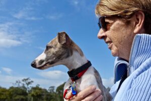 10 Signs Your Dog Is Emotionally Attached to You