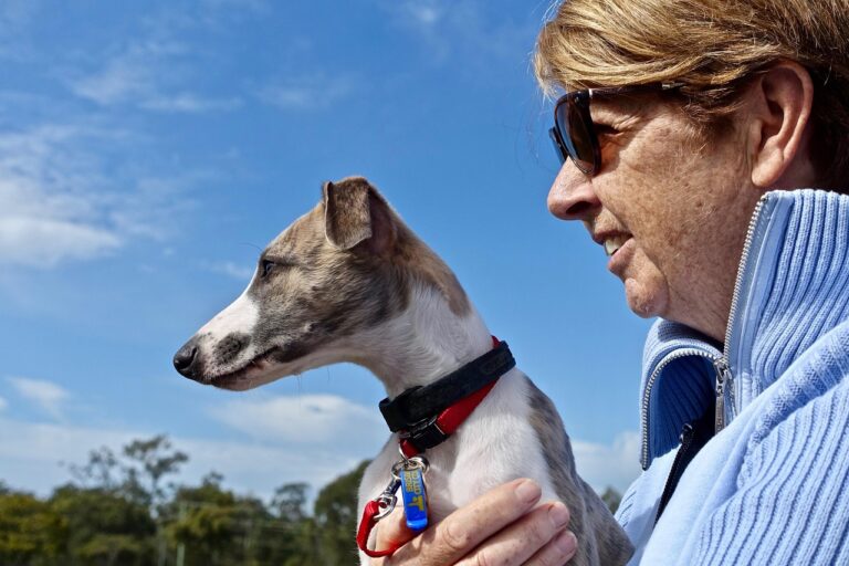 10 Signs Your Dog Is Emotionally Attached to You