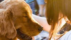 The Most Dog-Friendly Retirement Towns in America