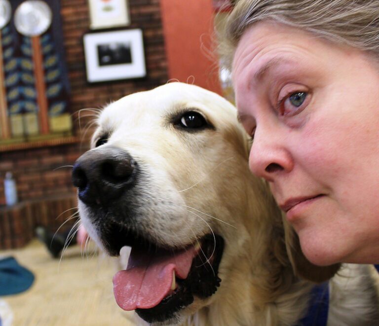 How to Avoid Reinforcing Anxious Behavior in Dogs
