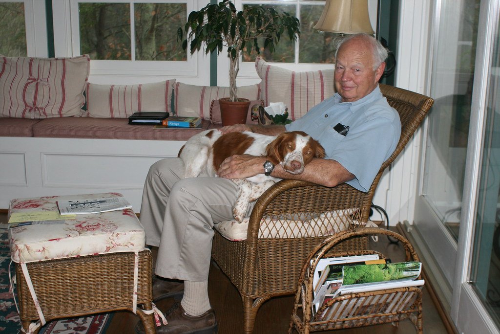 Why Pampering Your Dog Too Much Leads To Lack of Independence