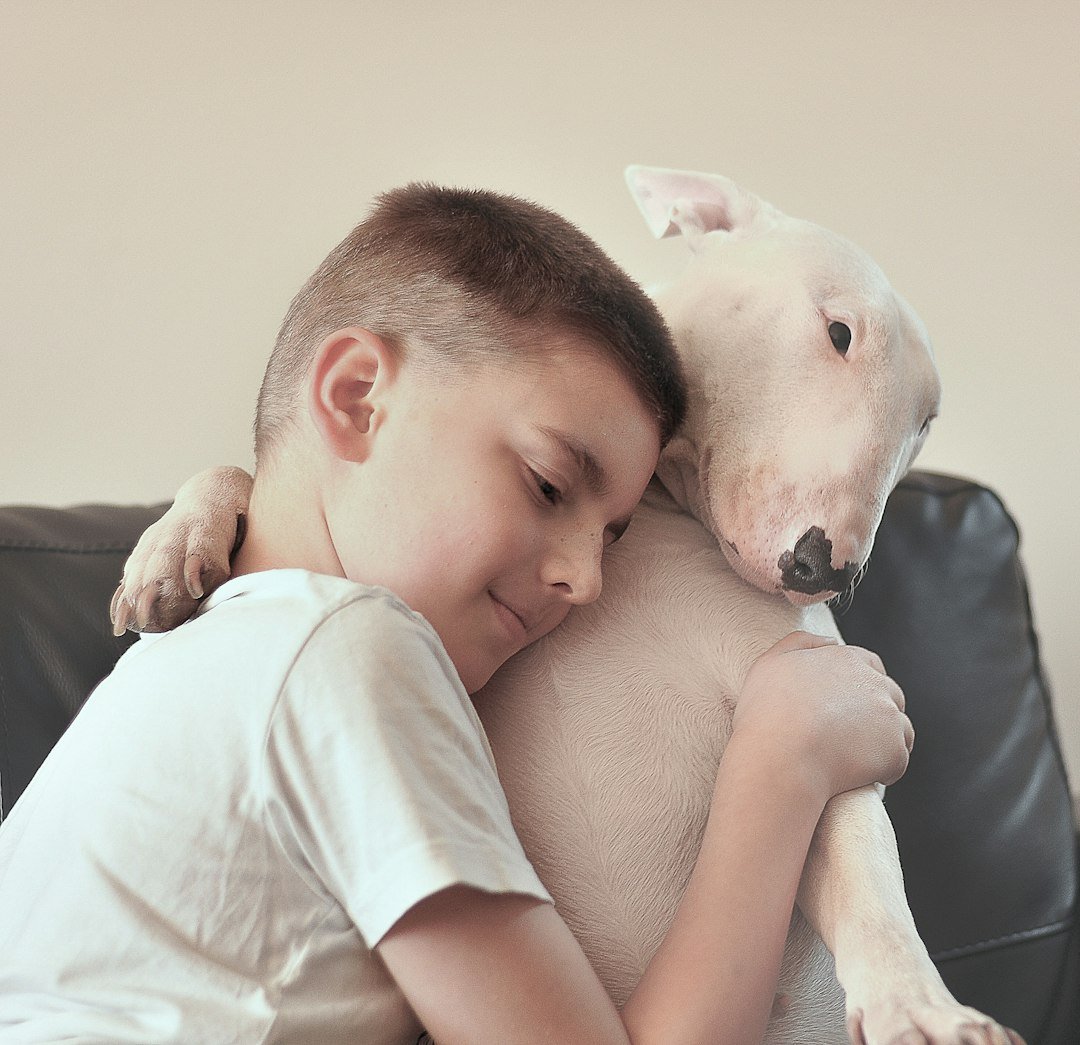 How Dogs Pick Up on Human Stress and Try to Help