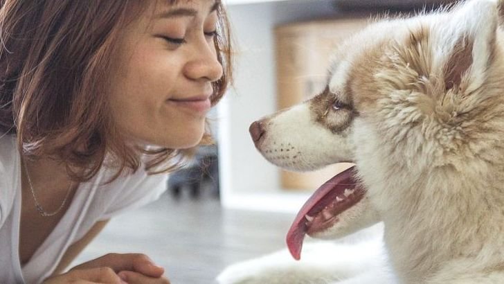 How Dogs Cope With Separation Anxiety – And How You Can Help