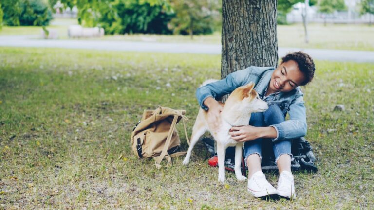 Why Dogs Learn Better From Gentle Voices Than Commands