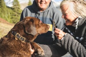 How Dogs Help Seniors Live Longer and Smile More