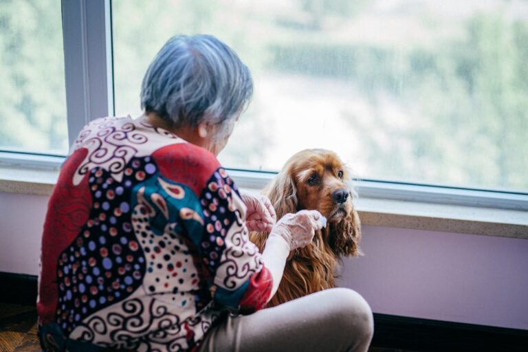 The Beautiful and Painful Truth About Dogs Growing Old