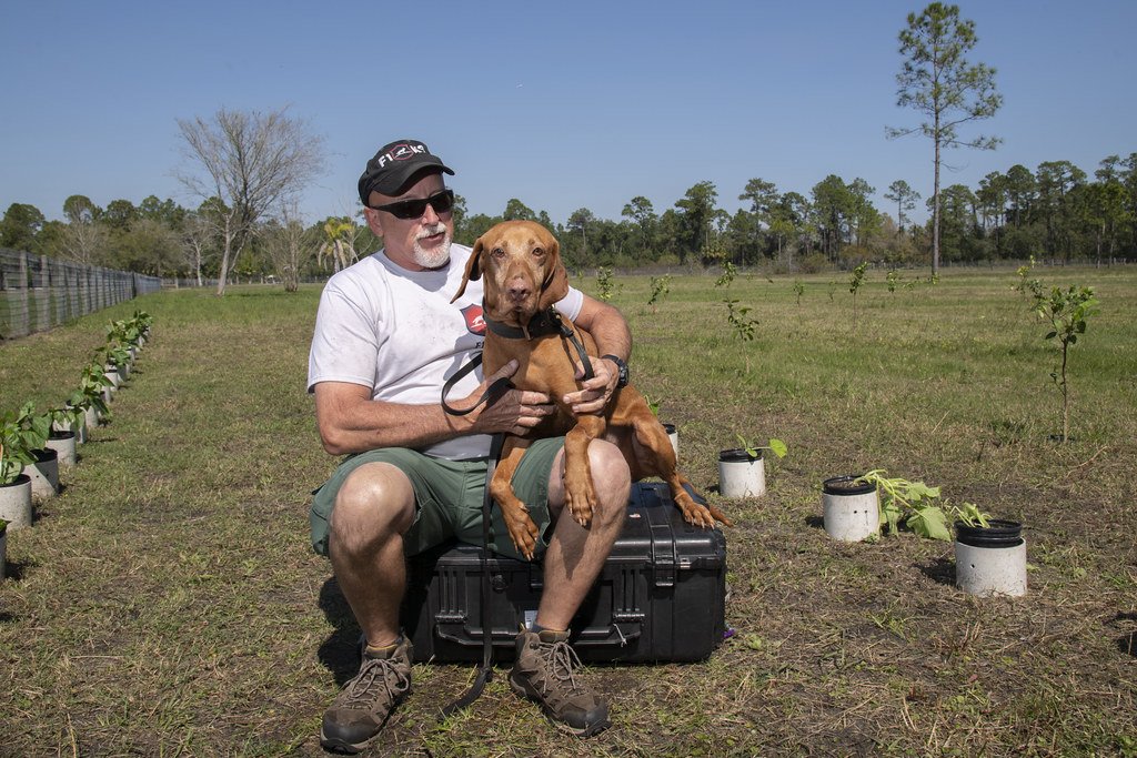 The Psychology of Reward – Why Praise Matters More Than Treats