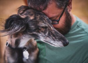 7 Times Dogs Have Proven Their Love Is Pure, Selfless, and Eternal