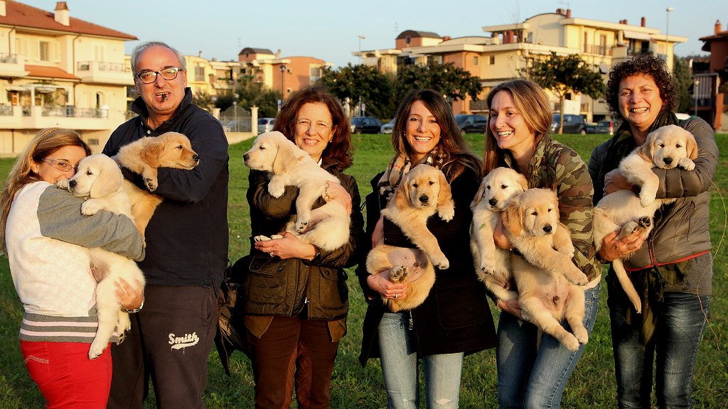 10 Breeds That Are Natural Healers – and 5 That Need Healing Themselves