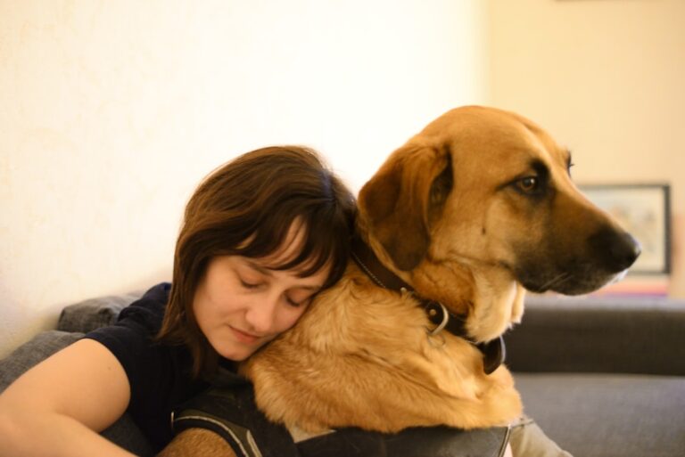 10 Reasons Dogs Are the Best Companions for Healing From Loss