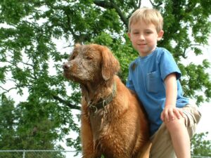 10 Dogs That Learn Fast - and 5 That Teach You Patience