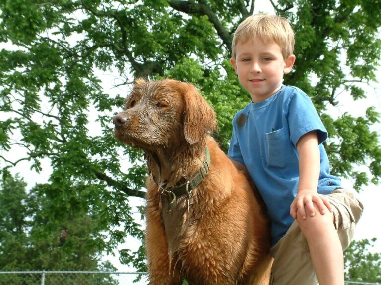 10 Dogs That Learn Fast - and 5 That Teach You Patience
